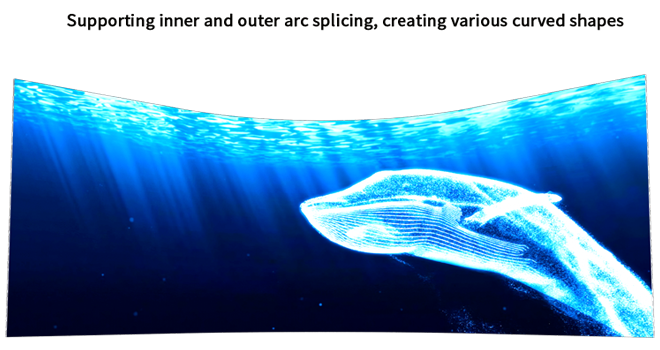 Curve - shape